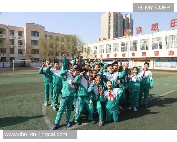 如何用生动的语言表达对足球的热爱与理解